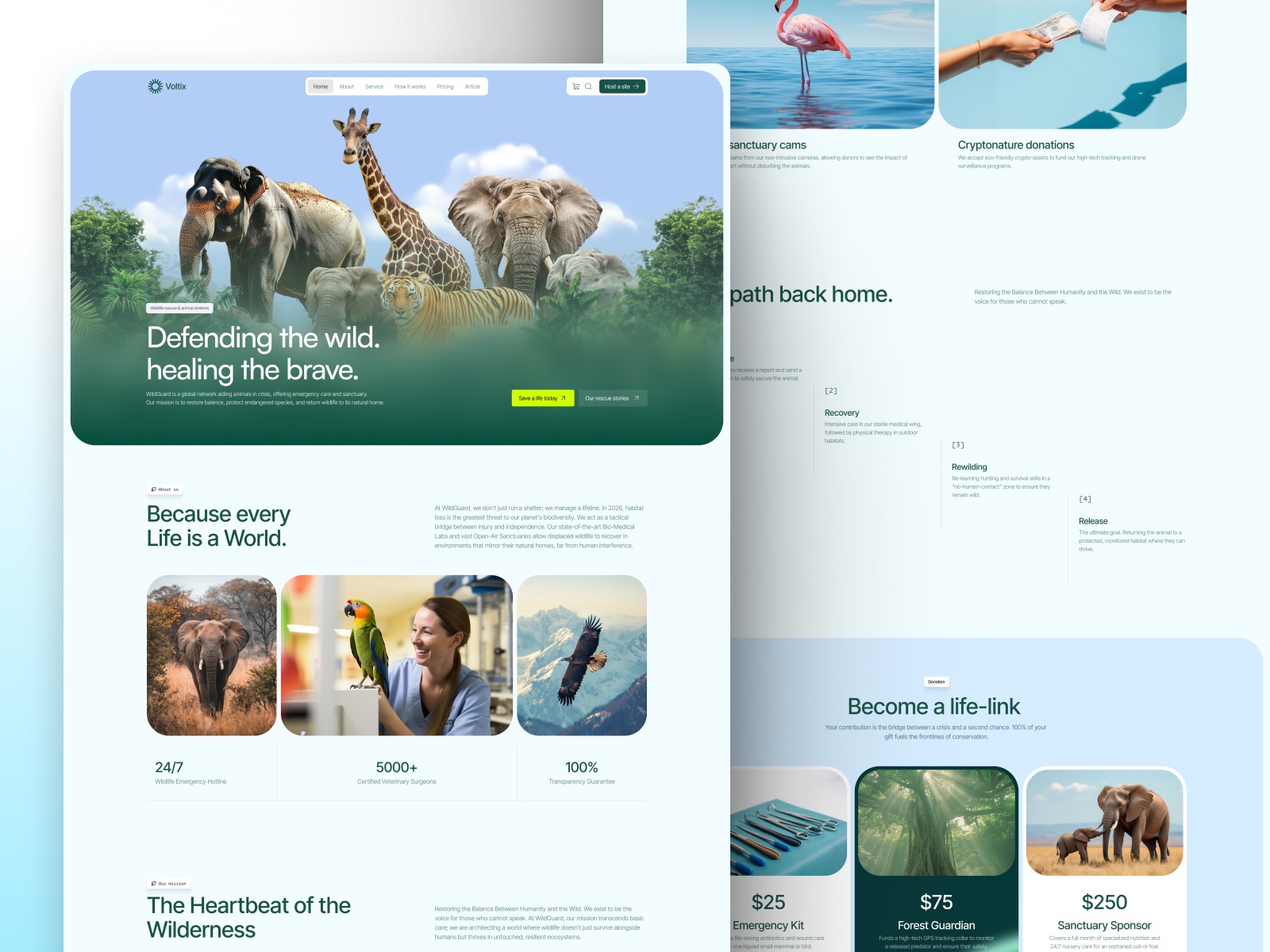 Zooxia — Wildlife Rescue Website Template preview